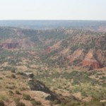 june 2011-ARIZONA palo duro canyon TX08
