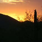 desert sunsets 2011 (5)