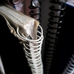School supplies - image from morgue file