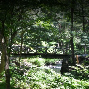 The bridge at sleepy hollow