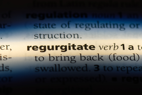 Dictionary page spotlighting defintion of regurgitation - 'to bring back'