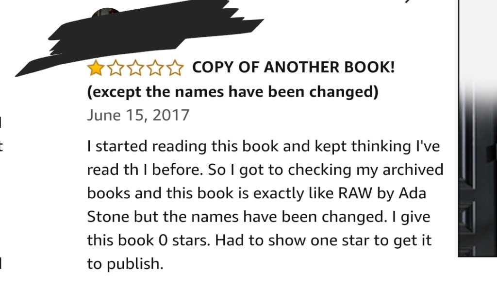 Reader comment on Amazon, calling book out as Ada Stone's RAW